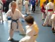 Budapest cup 2011